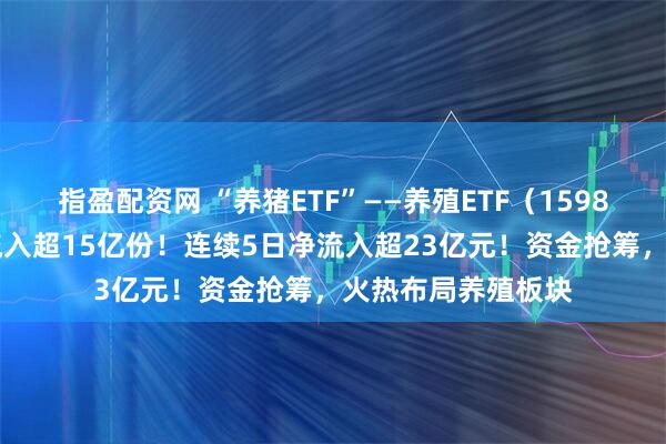 指盈配资网 “养猪ETF”——养殖ETF（159865）今日盘中净流入超15亿份！连续5日净流入超23亿元！资金抢筹，火热布局养殖板块