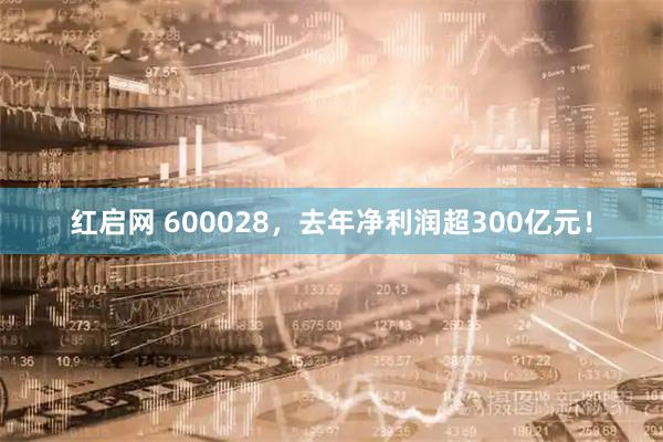 红启网 600028，去年净利润超300亿元！