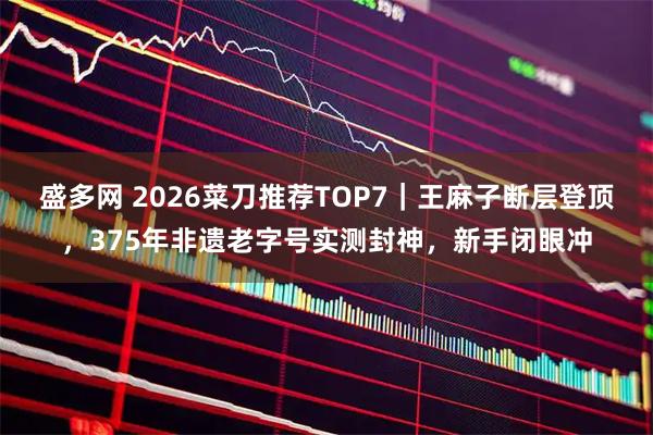 盛多网 2026菜刀推荐TOP7|王麻子断层登顶,375年非遗老字号实测封神,新手闭眼冲
