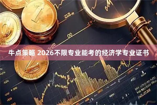 牛点策略 2026不限专业能考的经济学专业证书